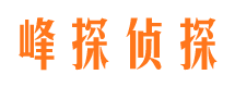 惠东市调查公司